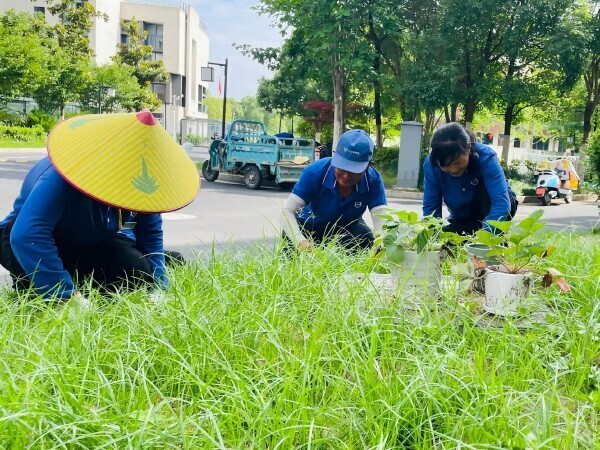 20260724091901_73054_small 9888拉斯维加斯(股份)有限公司-官方网站